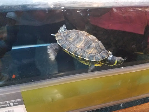 Pet Supply Store «Petco Animal Supplies», reviews and photos, 35860 Chester Rd, Avon, OH 44011, USA