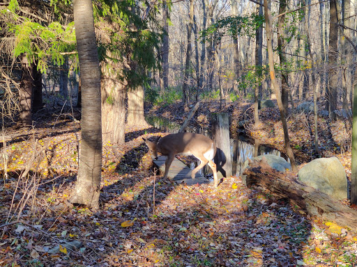 Nature Preserve «The Celery Farm», reviews and photos, Franklin Turnpike, Allendale, NJ 07401, USA
