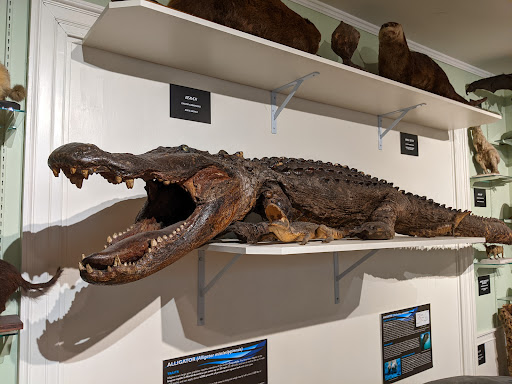 Museum «Woodman Museum», reviews and photos, 182 Central Ave, Dover, NH 03820, USA