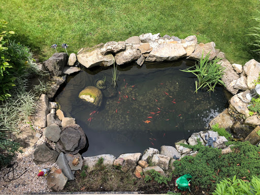 Tropical Fish Store «Aquarium Design Network», reviews and photos, 296 E Jericho Turnpike, Huntington Station, NY 11746, USA