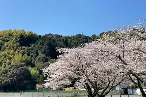 Terajima Kasenjiki Park image