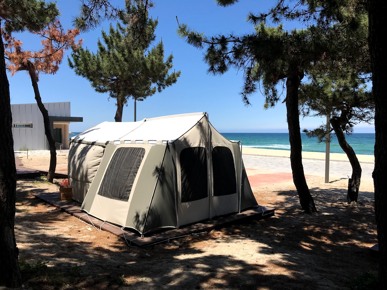 Yeongok Beach photo #8