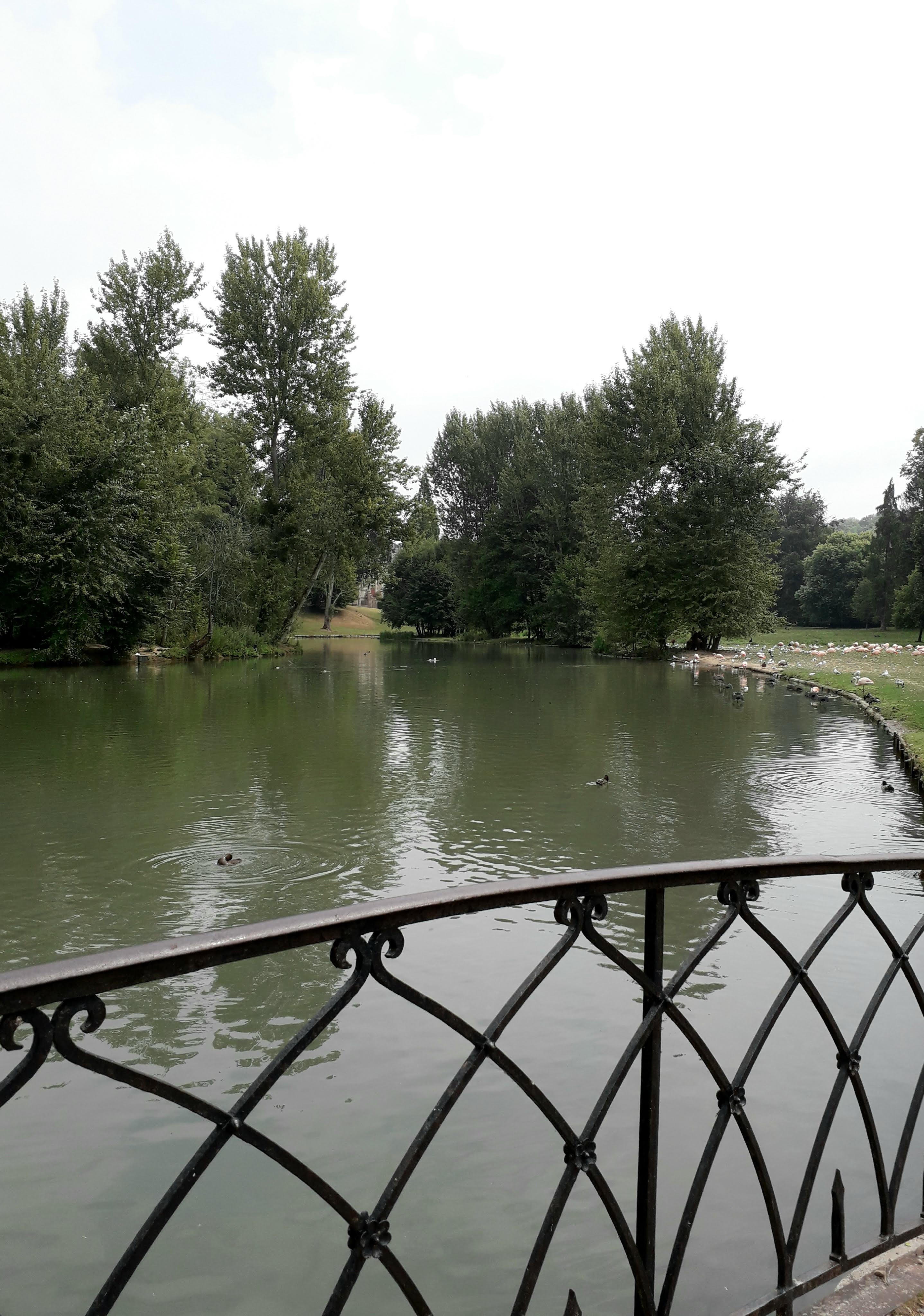 Photo n° 35 de l'avis de Le.o fait le 22/07/2022 à 15:09