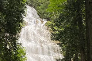 Bridal Veil Falls Provincial Park image