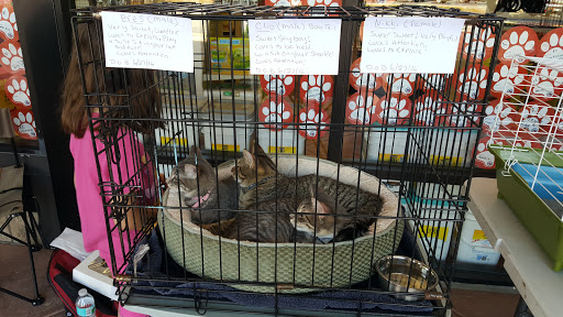 Pet Store «Pet Supermarket, Inc.», reviews and photos, 1938 FL-44 #40, New Smyrna Beach, FL 32168, USA