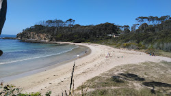 Foto de Lilli Pilli Beach e o assentamento
