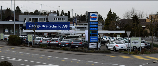 Rezensionen über Garage Breitschmid AG - Peugeot in Baden - Autohändler