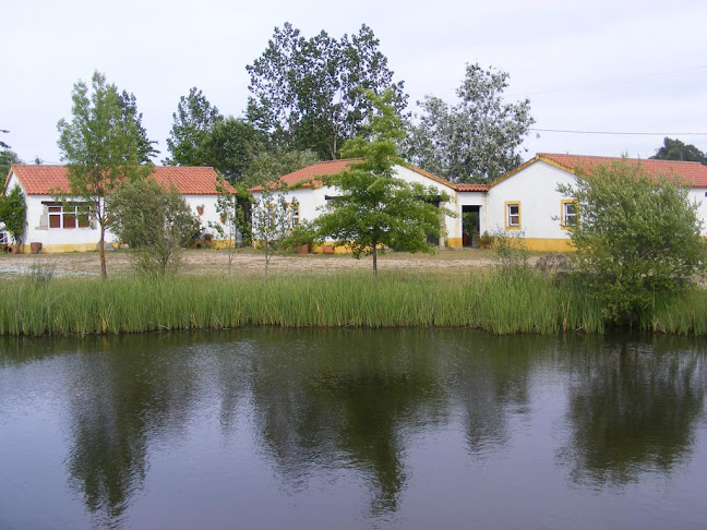 Quinta dos Trevos-Turismo Rural, artes e ofícios