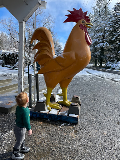 Pet Store «Simply Country Feed & Supply», reviews and photos, 12892 Ridge Rd, Grass Valley, CA 95945, USA