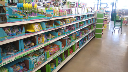 Dollar Store «Dollar Tree», reviews and photos, 4811 Edgmont Ave, Brookhaven, PA 19015, USA