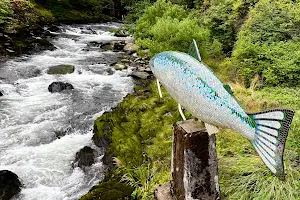 Yelatzie Salmon image