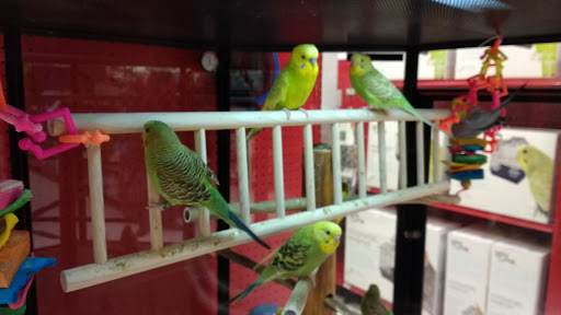 Pet Supply Store «Petco Animal Supplies», reviews and photos, 3012 Bridgepointe Pkwy, San Mateo, CA 94404, USA