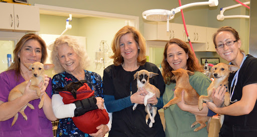 Little Traverse Bay Veterinary Clinic