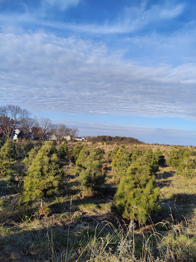 Farm «Abbey Farms», reviews and photos, 2855 Hart Rd, Aurora, IL 60502, USA