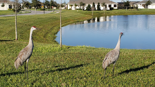 Home Builder «Twin Lakes - Jones Homes USA», reviews and photos