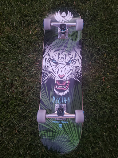 Explore dolphin tattoo ideas, creative tattoo ideas in San Leandro, available at Orbit Skate and Boutique- Skate Shop & Piercing Shop in San Leandro, CA