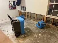 Trinity Restoration - Car repair in Laredo, TX, Laredo - Rated 5.0/5