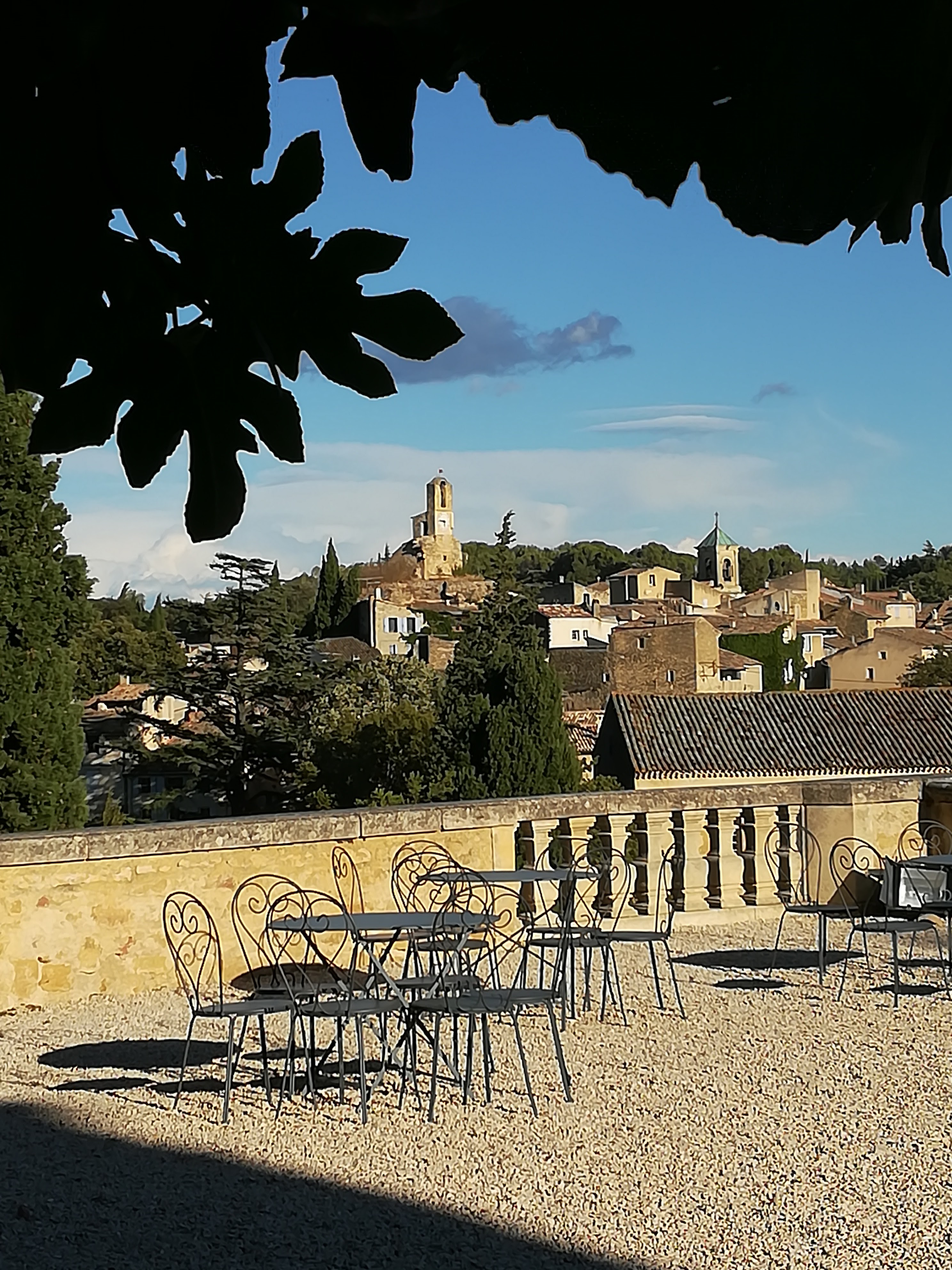 Photo n° 1 de l'avis de Momo.e fait le 21/09/2017 à 17:00