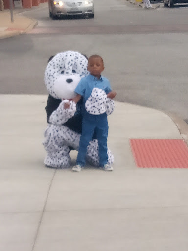 Pet Supply Store «Pet Valu», reviews and photos, 16675 Chagrin Blvd, Shaker Heights, OH 44120, USA