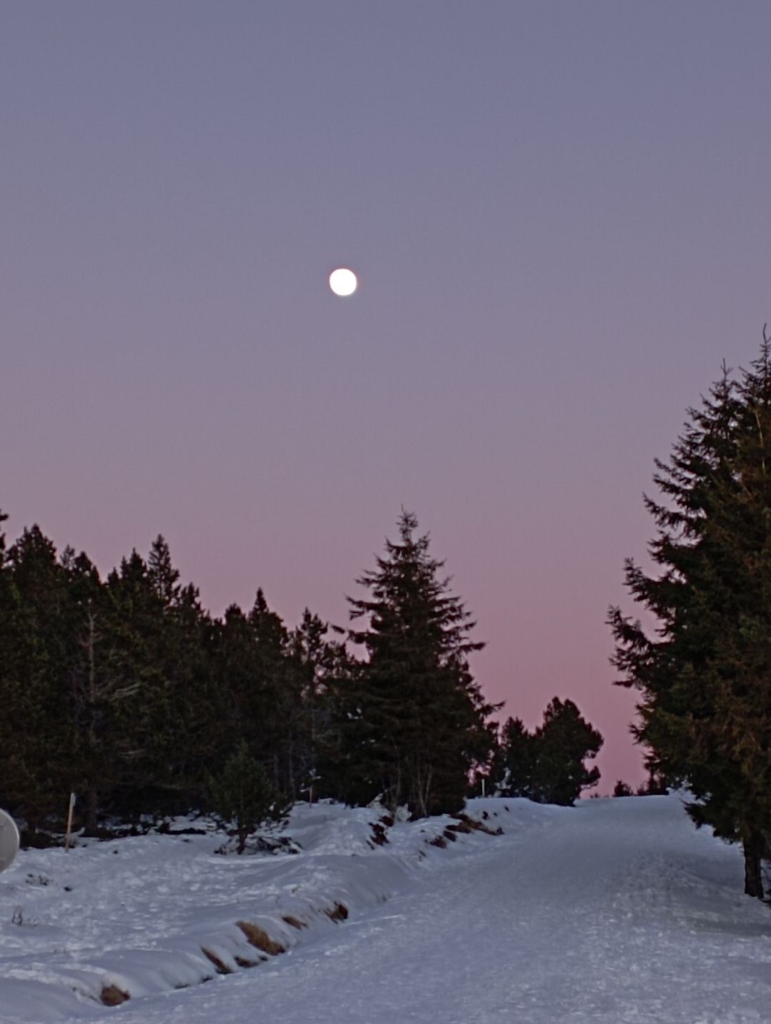 Photo n° 3 de l'avis de Francoise.O fait le 19/01/2022 à 14:39