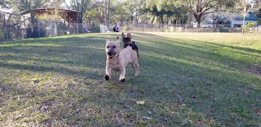 Park «Lutz Dog Park», reviews and photos, 122 1st Ave SW, Lutz, FL 33548, USA