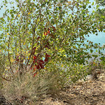 Photo n° 4 de l'avis de Vues.u fait le 13/10/2021 à 07:03 pour Pont du Galetas à Aiguines