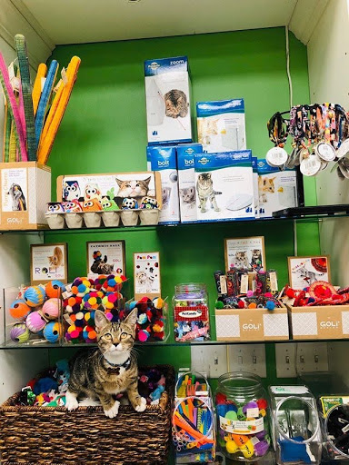 Pet Supply Store «Unleashed», reviews and photos, 1319 Military Cutoff Rd, Wilmington, NC 28405, USA