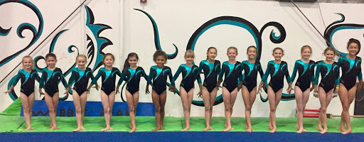 Gymnastics Center «Northshore Gymnastics Center», reviews and photos, 19460 144th Ave NE, Woodinville, WA 98072, USA