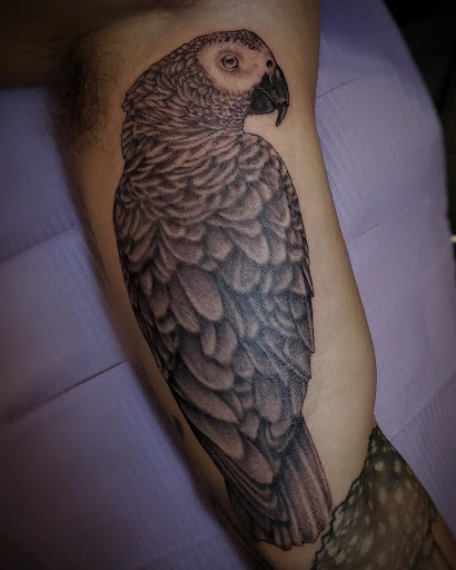 Explore boba fett tattoo ideas, creative tattoo ideas in Palm Harbor, available at Angry Owl Tattoo and Piercing