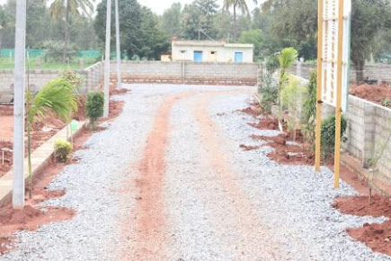 Google Maps image 27