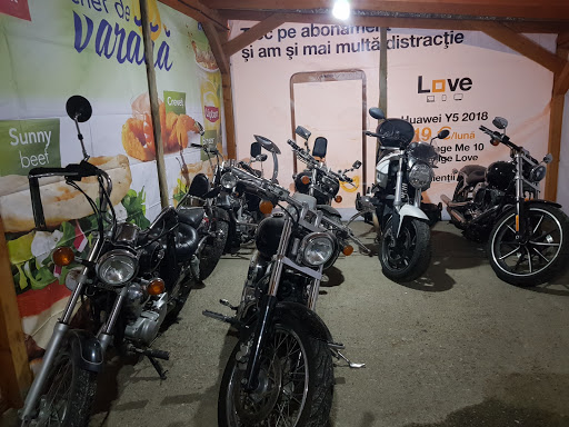 Motociclete cu sidecar Bucharest