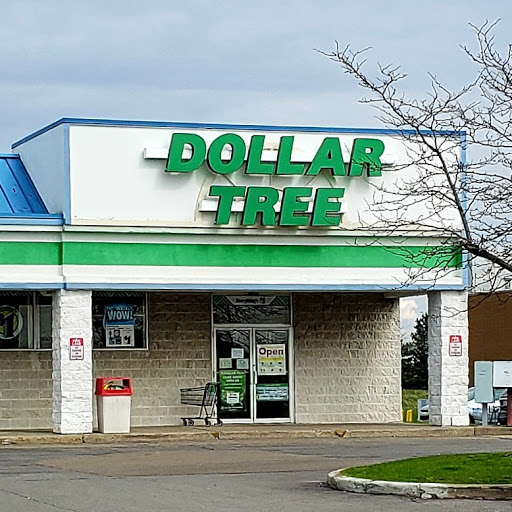 Dollar Store «Dollar Tree», reviews and photos, 4779 Transit Rd #18, Depew, NY 14043, USA