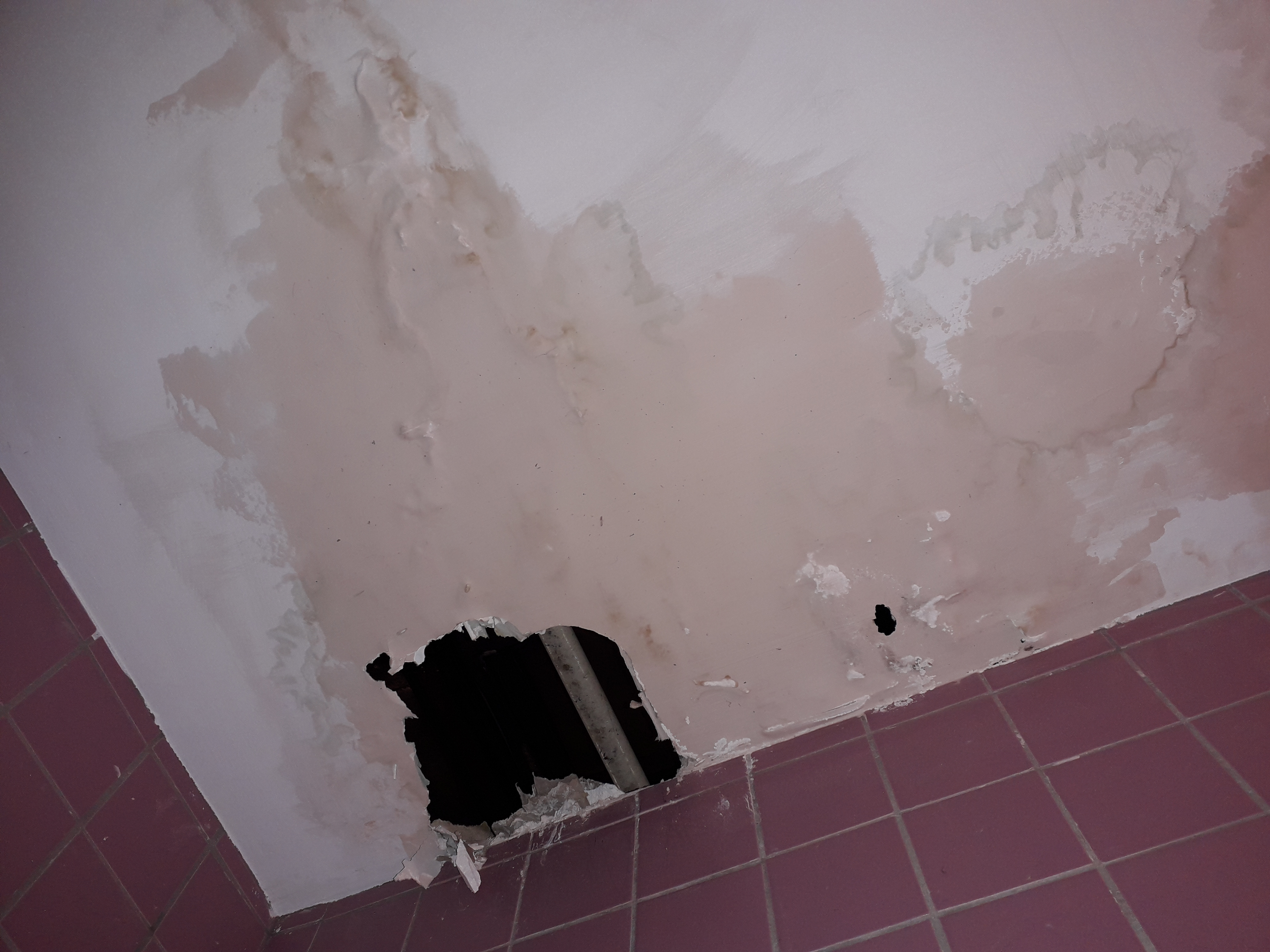 Photo n° 1 de l'avis de Marie.e fait le 18/01/2019 à 08:04