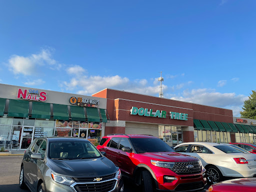 Dollar Store «Dollar Tree», reviews and photos, 5918 Middlebelt Rd, Garden City, MI 48135, USA