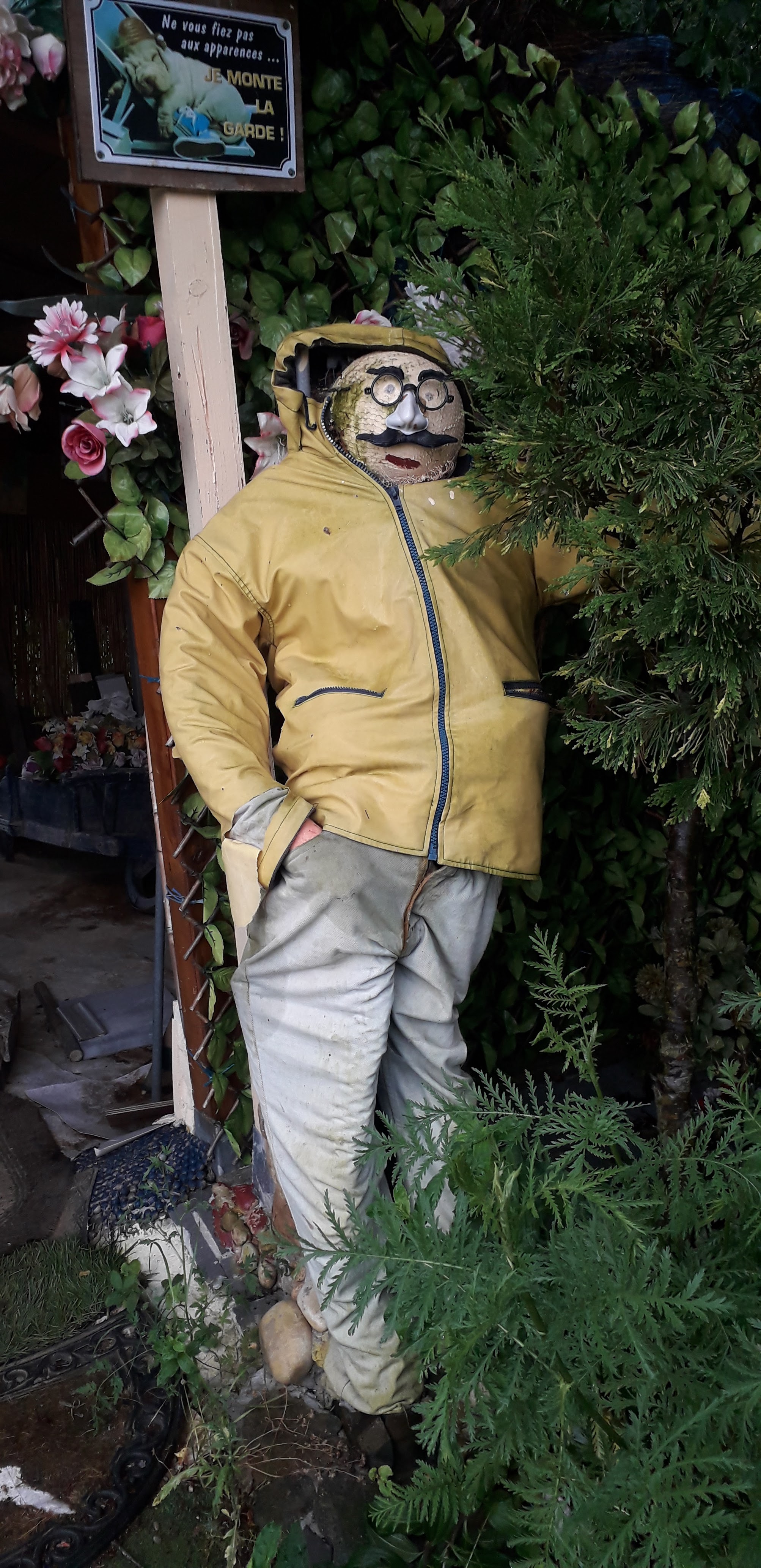 Photo n° 3 de l'avis de juan.e fait le 14/06/2019 à 10:45