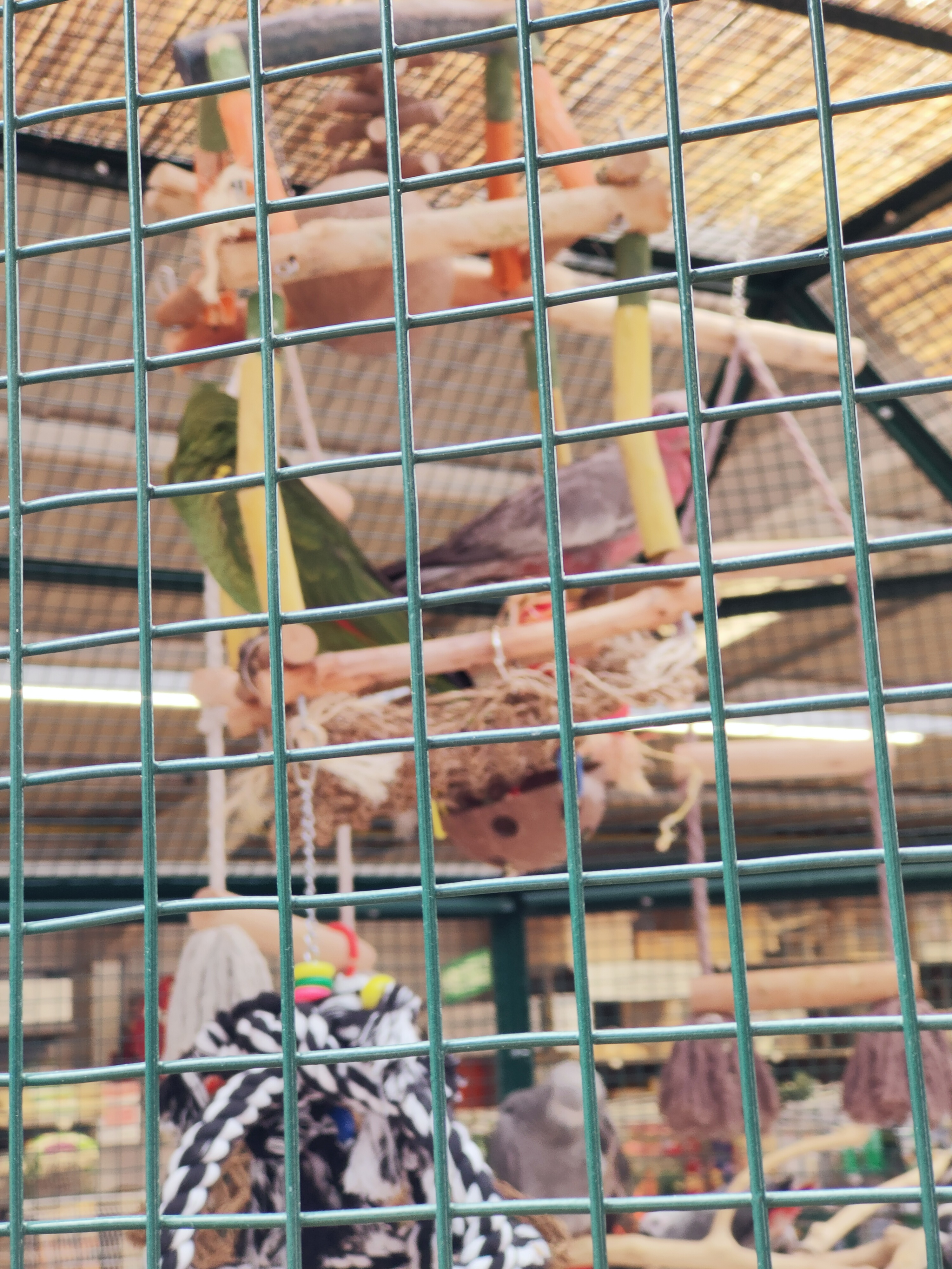 Photo n° 9 de l'avis de Trouspi.a fait le 29/06/2019 à 16:03