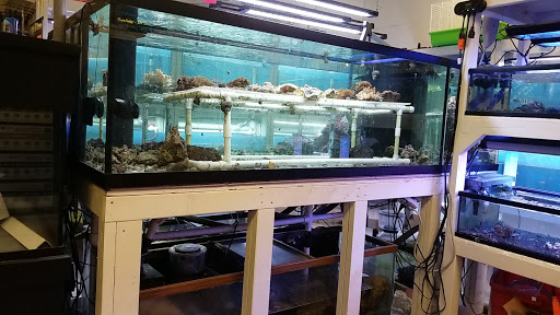 Pet Store «Suncoast Pets», reviews and photos, 7117 US-98, Panama City Beach, FL 32407, USA