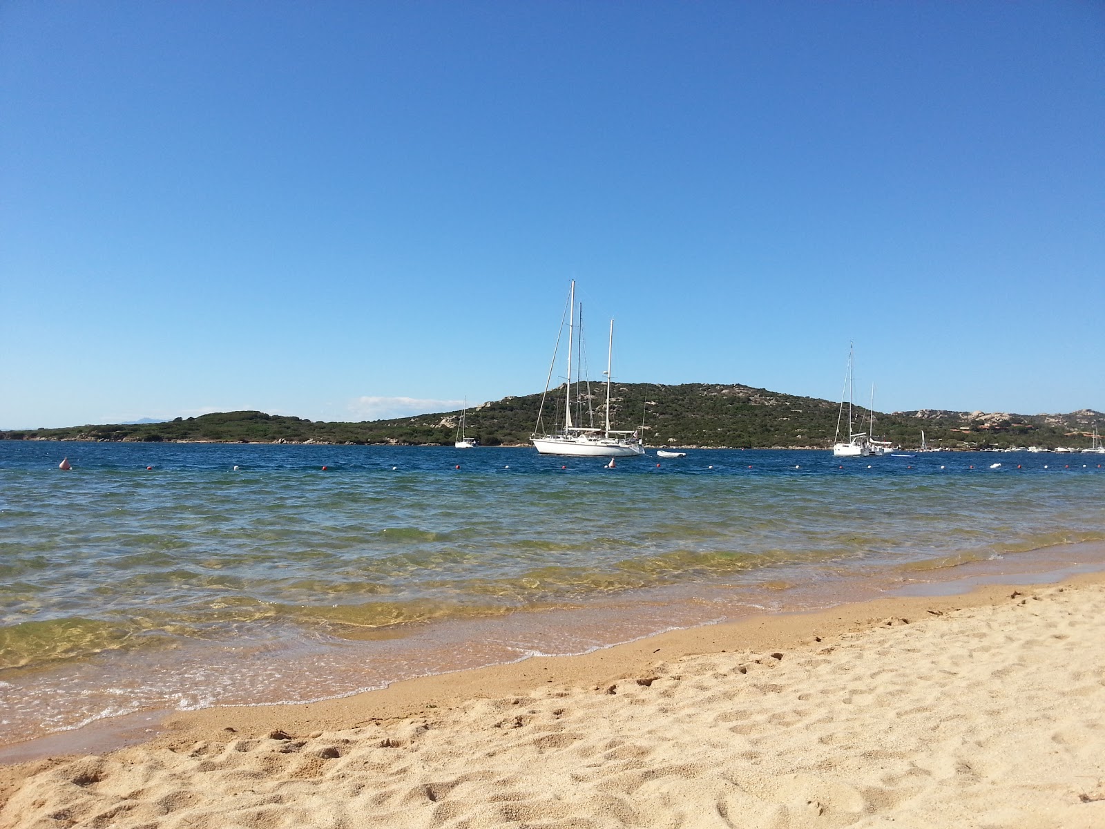 Foto de Spiaggia di Porto Pollo - lugar popular entre os apreciadores de relaxamento