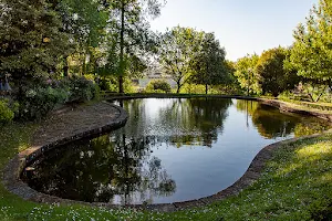 Jardins do Castelo de Santa Maria da Feira image