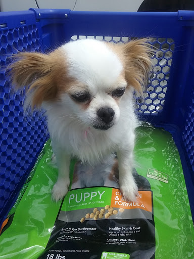 Pet Supply Store «PetSmart», reviews and photos, 2997 Max Ave, Bozeman, MT 59718, USA