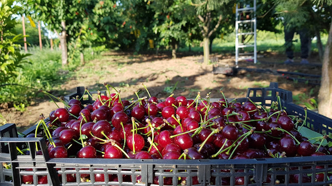 Domeniul cu Roade - Magazin de fructe