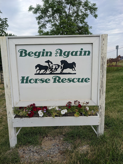 Begin Again Horse Rescue