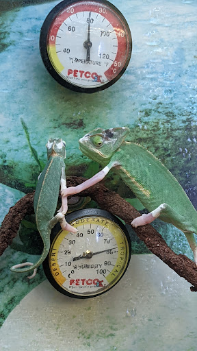 Pet Supply Store «Petco Animal Supplies», reviews and photos, 12638 Capital Blvd, Wake Forest, NC 27587, USA