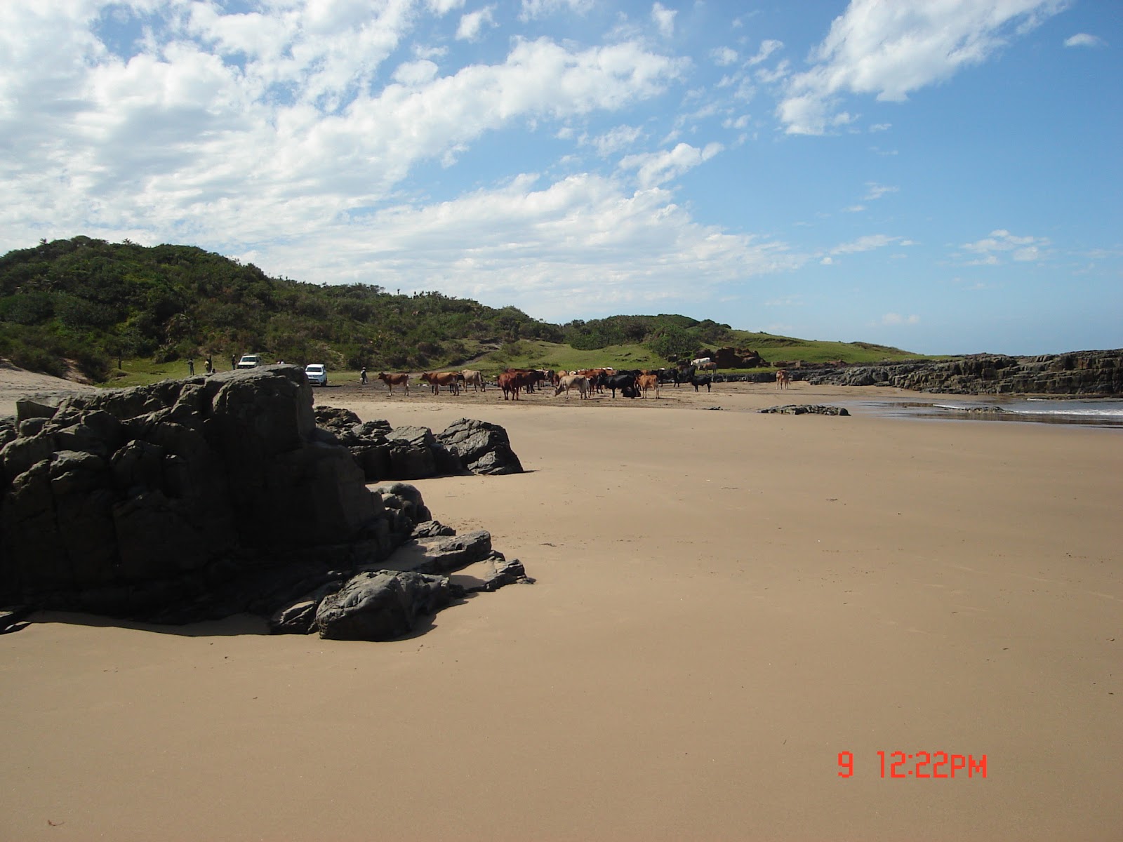 Jacaranda beach的照片 带有碧绿色水表面