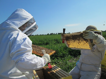 Bees Are Life, Inc. / Ontario Honey House