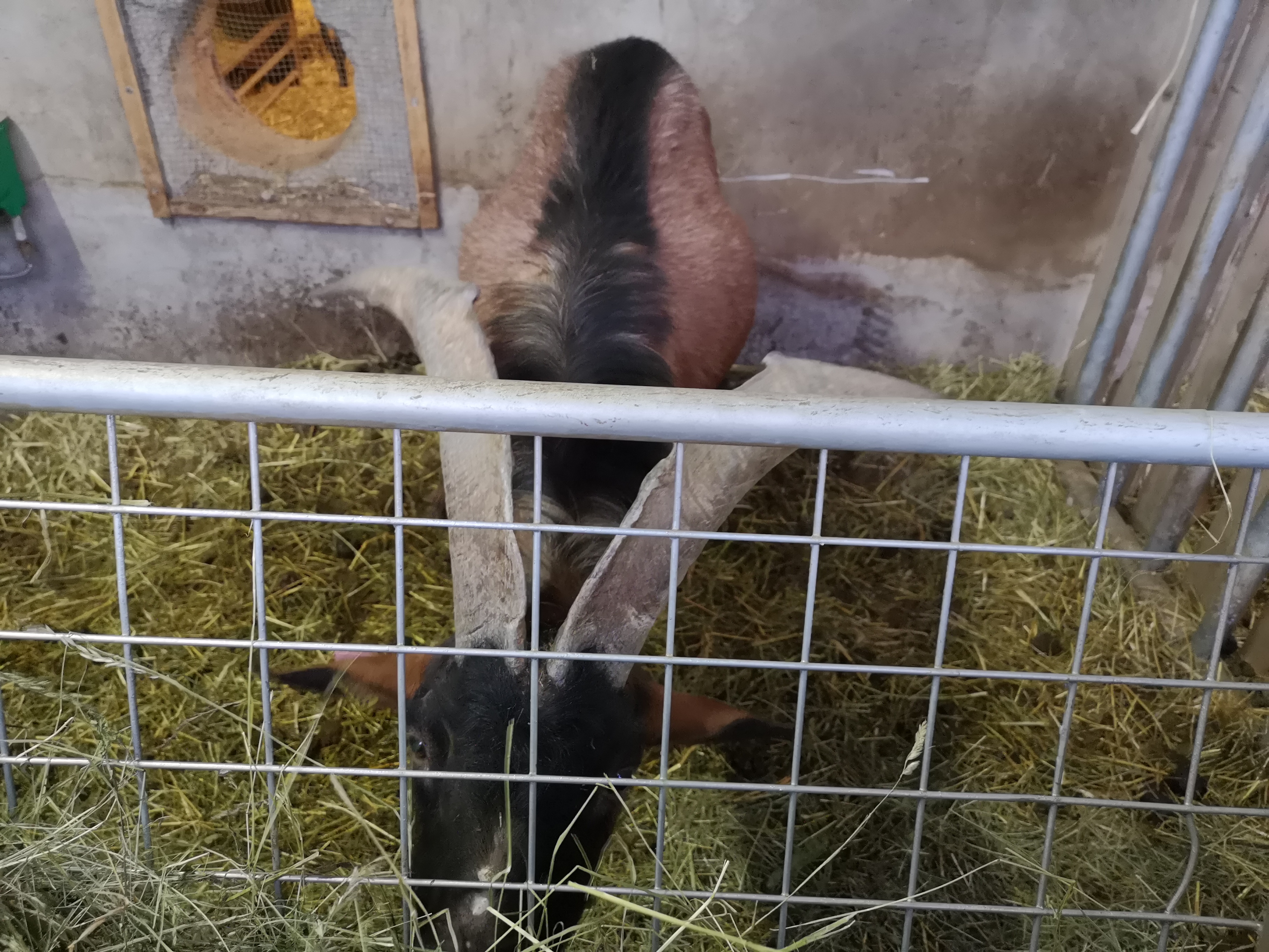 Photo n° 6 de l'avis de Joëlle.a fait le 22/02/2020 à 10:40