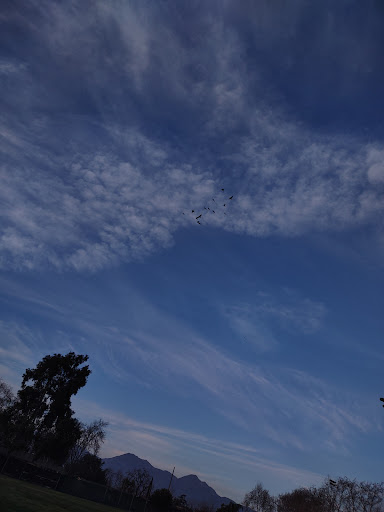 Community Center «Washington Park Community Center», reviews and photos, 865 E Grand Ave, Pomona, CA 91766, USA