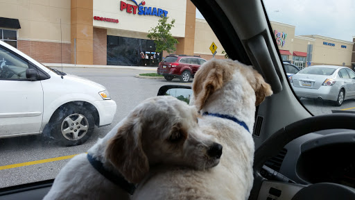 Pet Supply Store «PetSmart», reviews and photos, 181 Wilson Ave, Hanover, PA 17331, USA