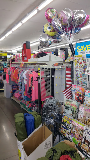 Discount Store «Dollar General», reviews and photos, 7605 US-41 ALT, Cedar Hill, TN 37032, USA