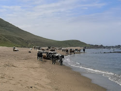 Photo de Mbotyi beach protégé par des falaises
